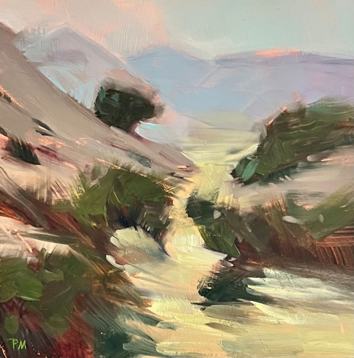 Desert Morning by Patti McNutt  Image: Desert Morning