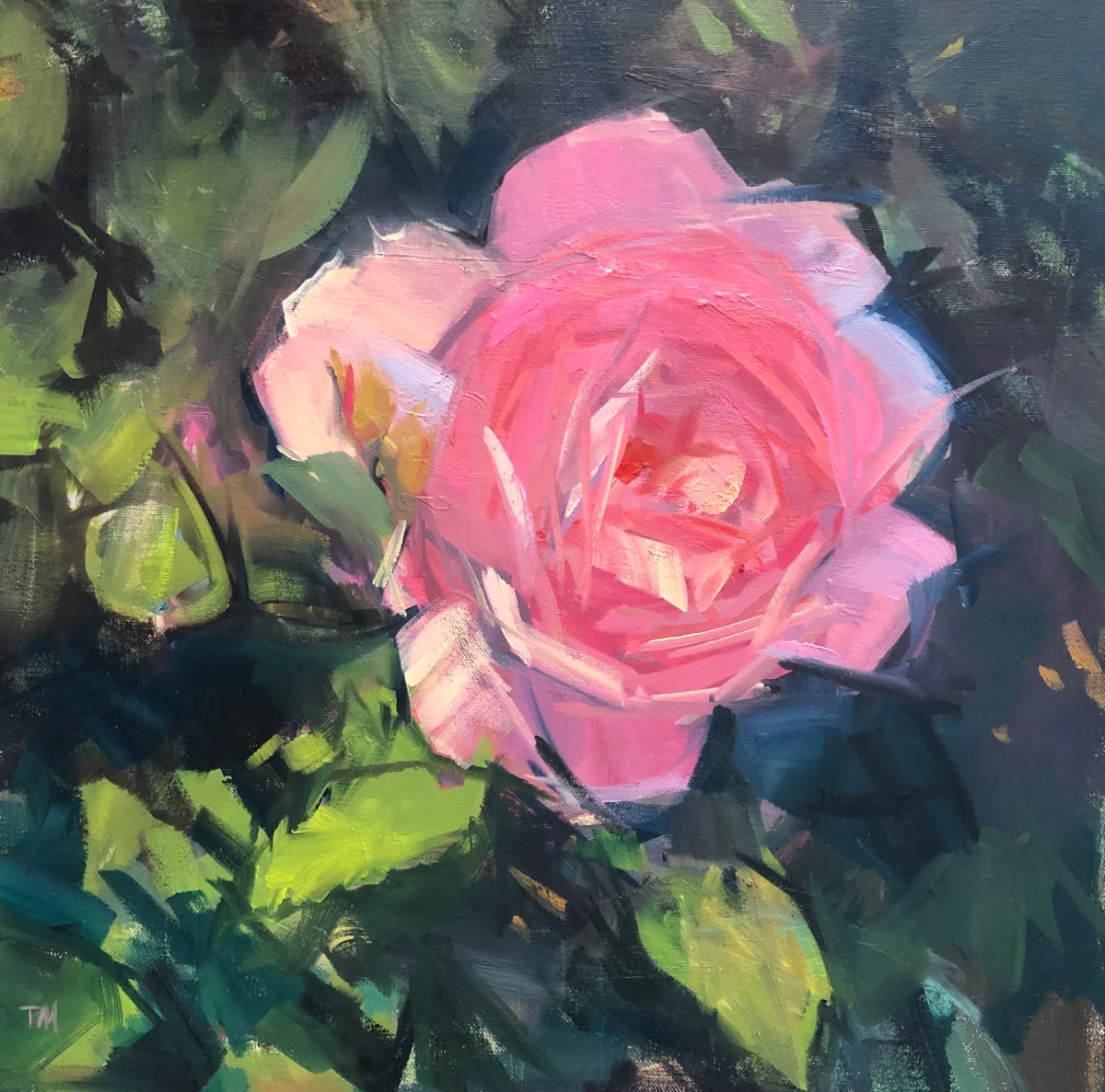 Rose Garden by Patti McNutt 
