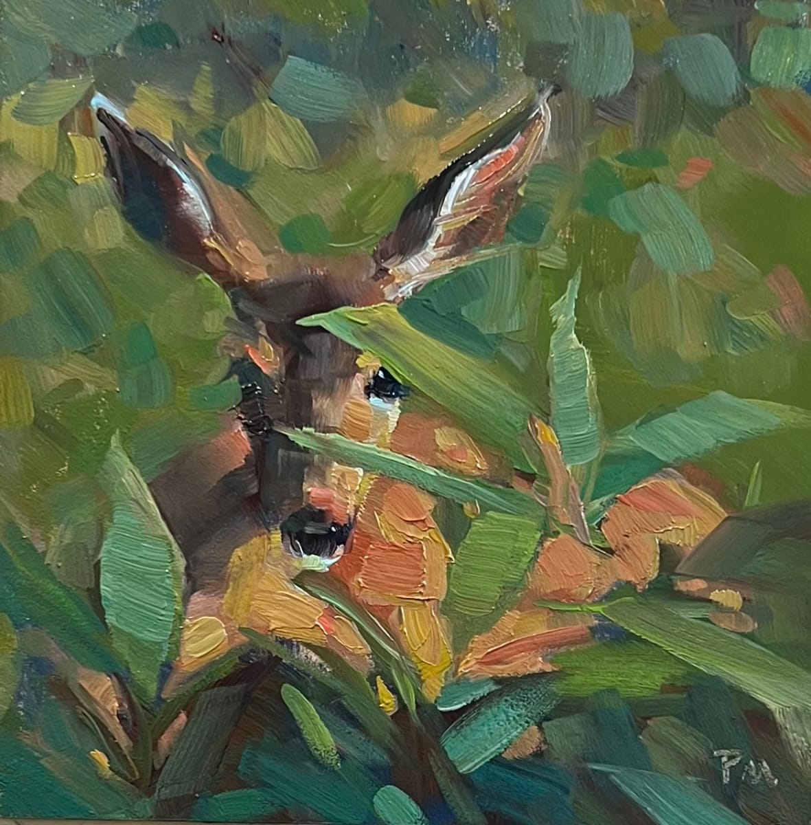 This is not the deer you are looking for...  Image: This is a visitor to my Eugene, Oregon studio/home.