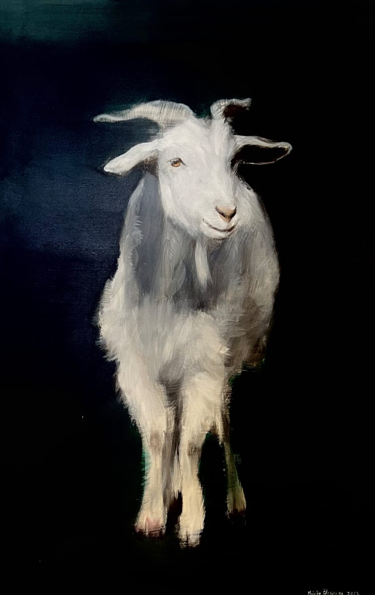 Goat 3 by Meinke Flesseman 