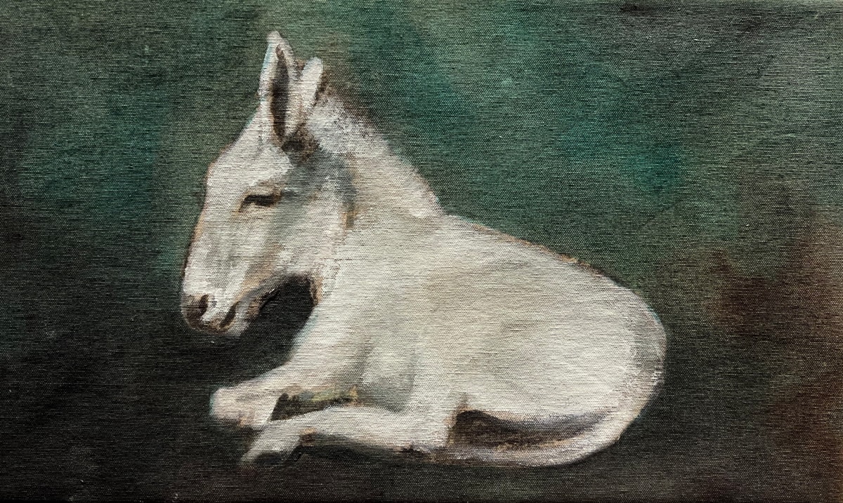 Sleepy Donkey by Meinke Flesseman 