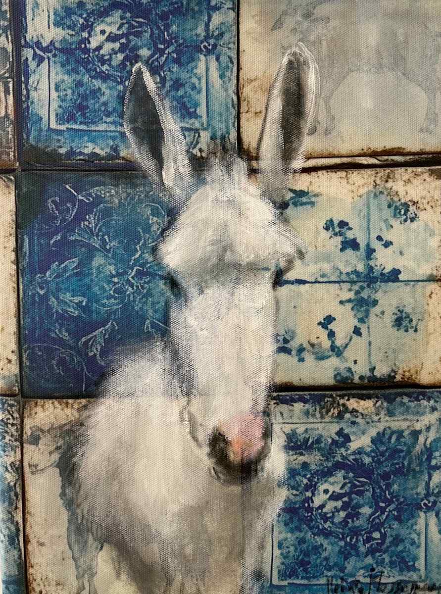 Tomás by Meinke Flesseman 