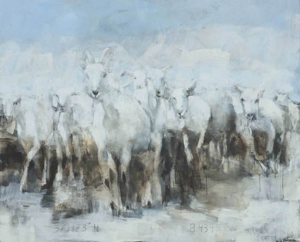 Flock aljezur by Meinke Flesseman  Image: Herd of goats