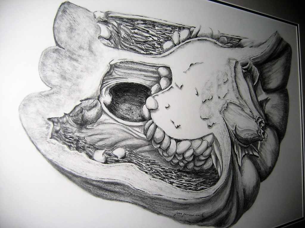 2005 Capsicum by jeanps, Image 3.