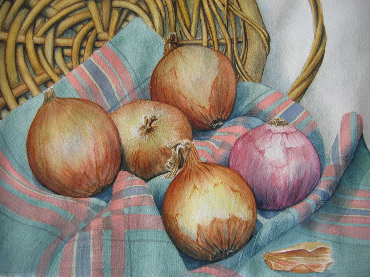 2003 Onions in a basket by jeanps, Image 11.