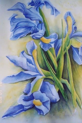 2003 Irises by jeanps 