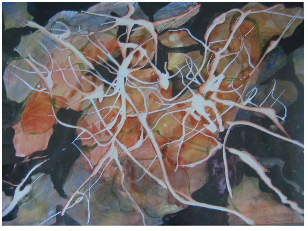 2006 Nasturtium by jeanps 
