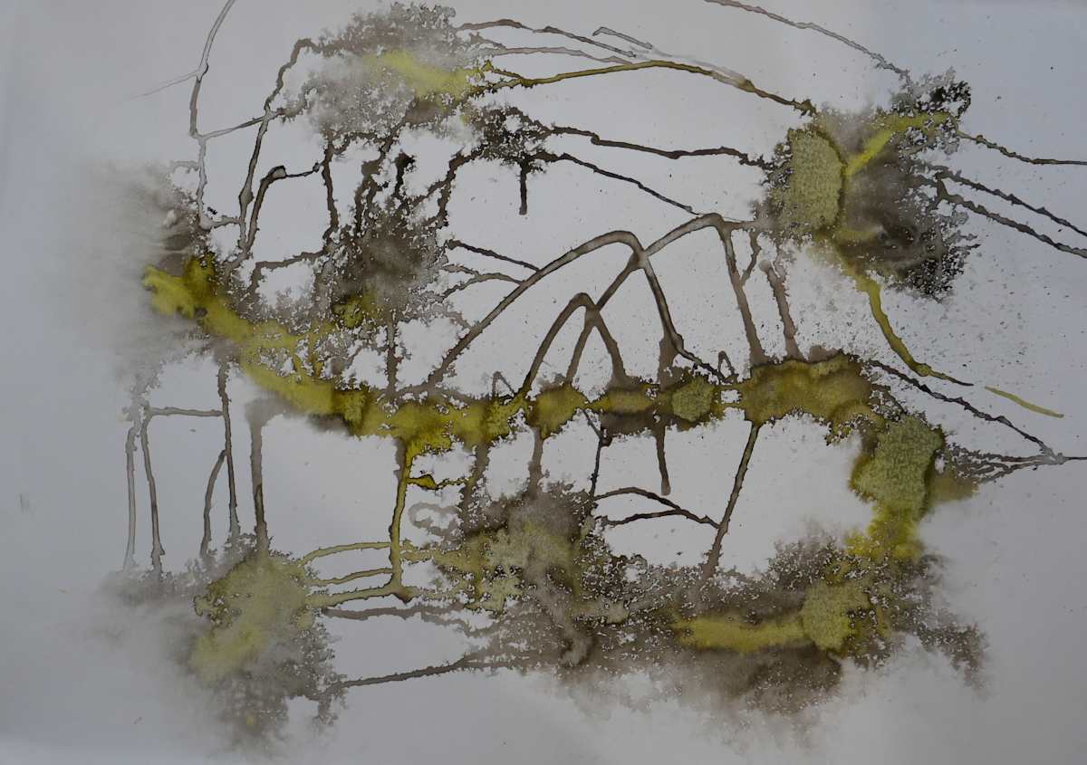 2016 Network by jeanps, Image 5.