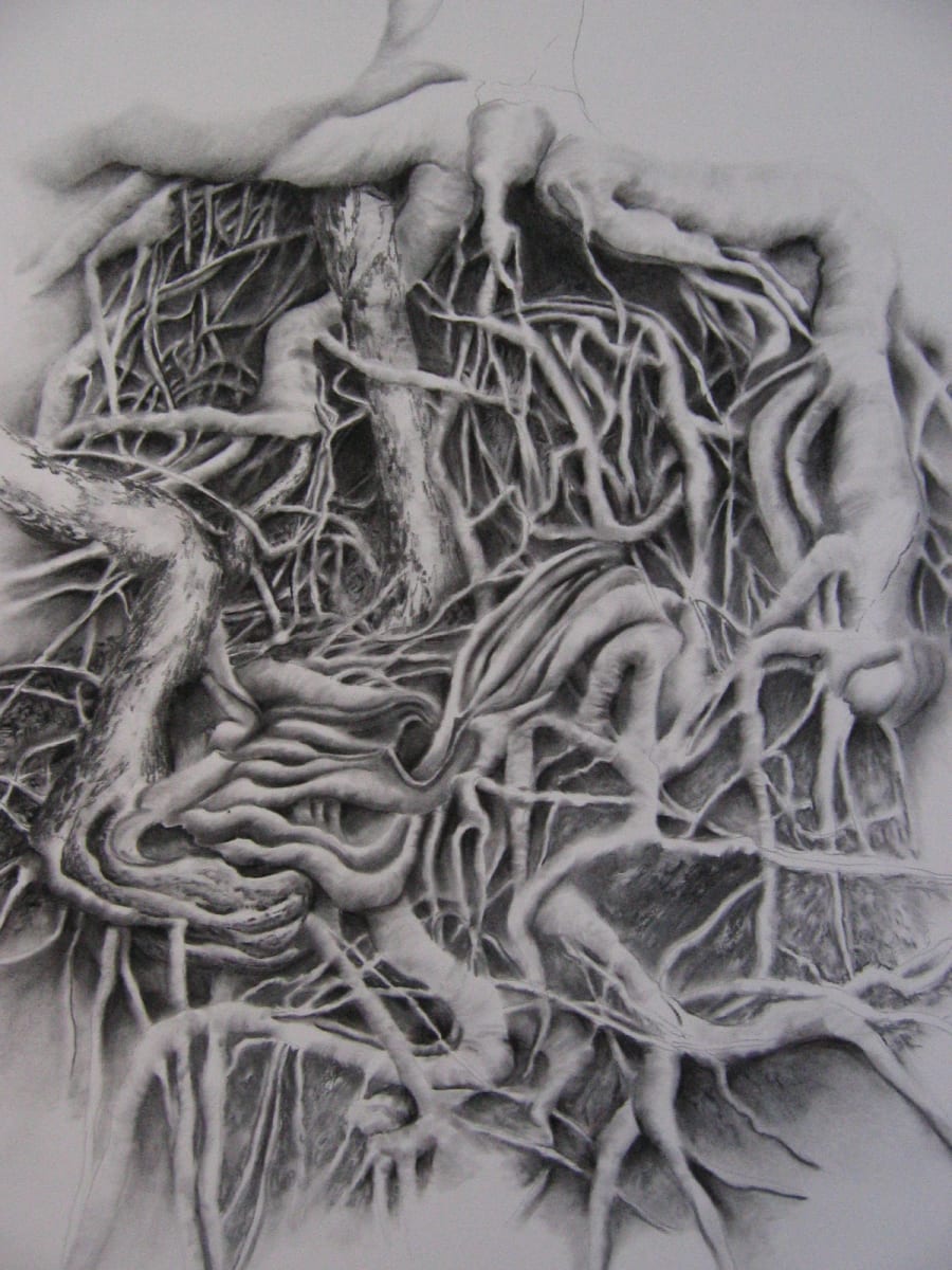 2005 Rivergum by jeanps 