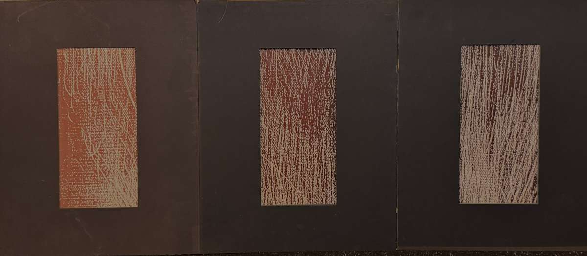 Untitled Zerox triptych Grass 3851 by Richard Morrison 