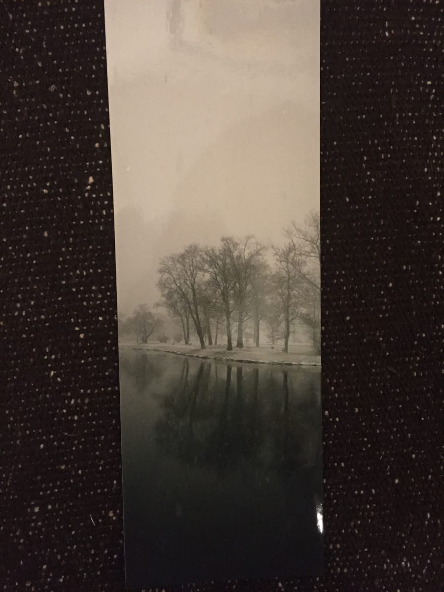#38 Photographs: medium size landscapes by Richard Morrison 