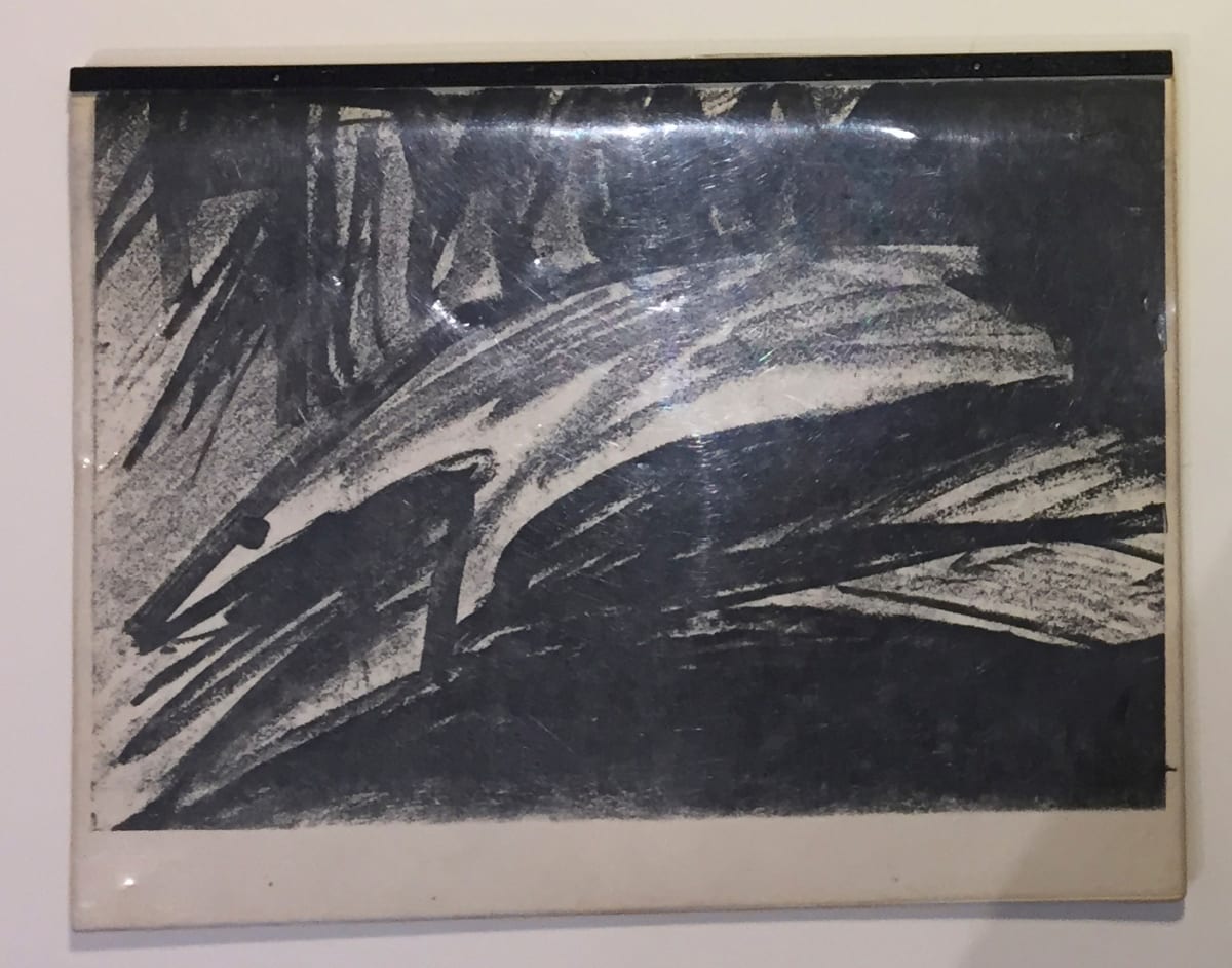 Zerox book by Richard Morrison 