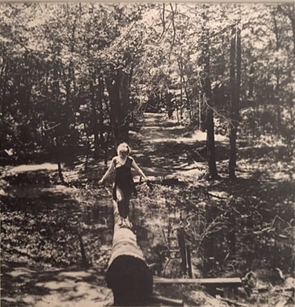 Crossing a River Bed on a Log by Richard Morrison by Richard Morrison 