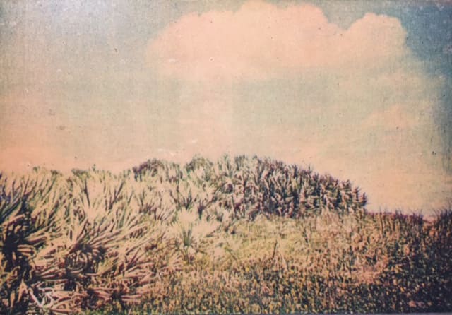 (2) Beach Scenes by Richard Morrison by Richard Morrison 