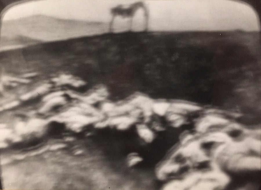 Landscape with Bodies by Richard Morrison 