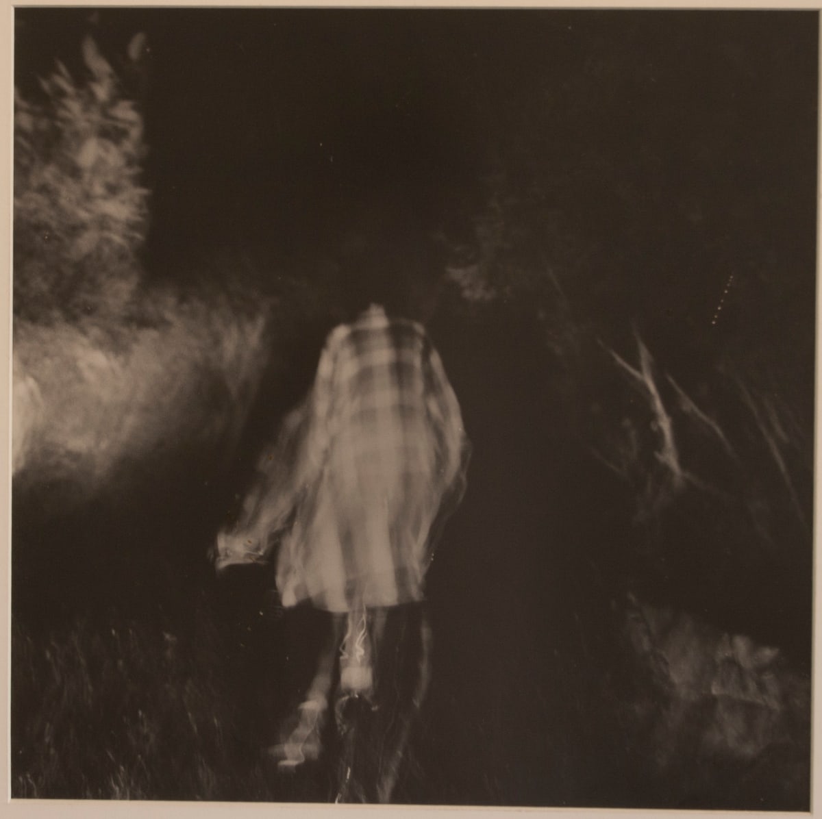 Untitled (Barbara Ess on a Bicycle) by Richard Morrison 