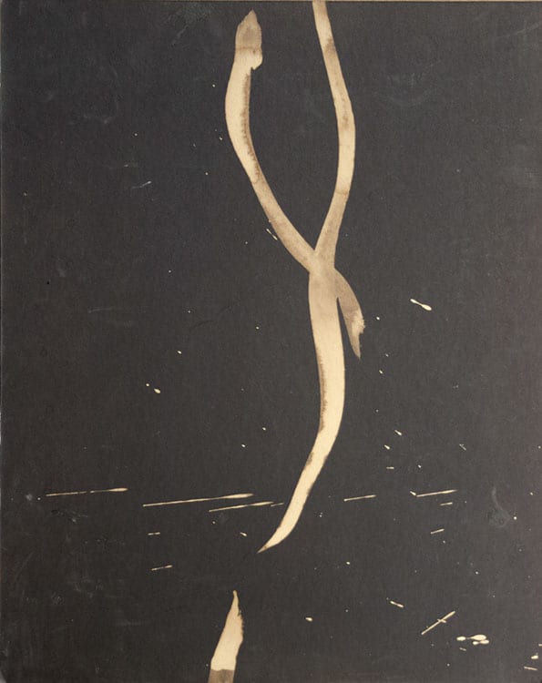 Bleach Noose aka Calligraphic Stain by Richard Morrison  Image: 0595