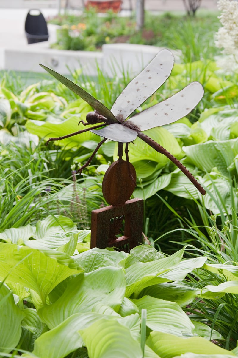 Dragonfly by Unknown 