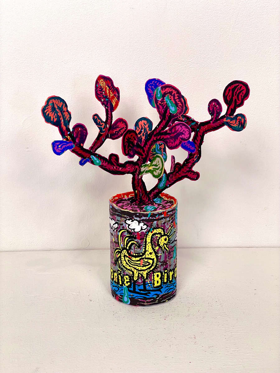Goonie Bird (Succulent) by Taylor McKimens, Image 2.