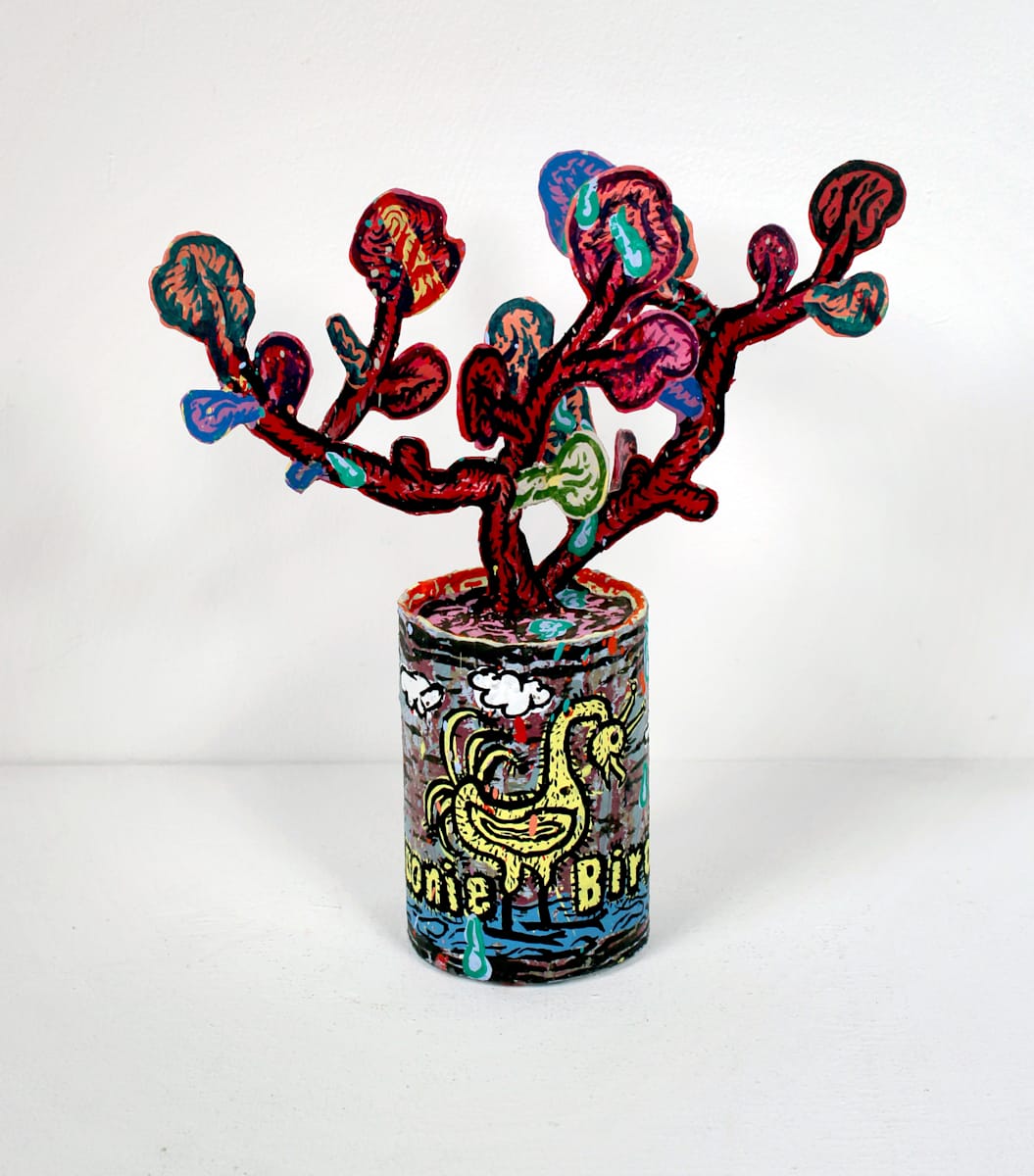Goonie Bird (Succulent) by Taylor McKimens, Image 4.