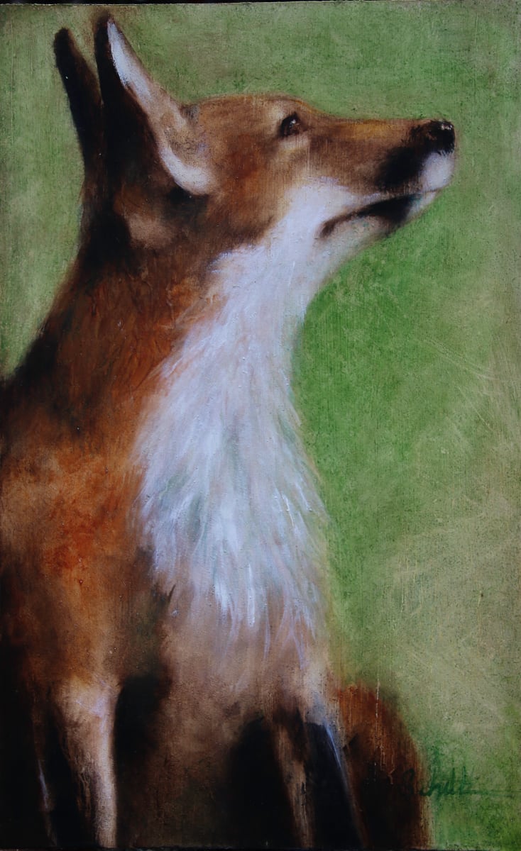 When I Wish by Sandra Schultz  Image: Gazing red fox
