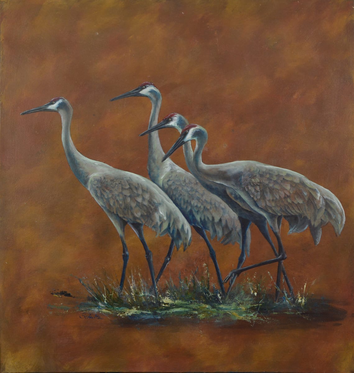 Out For A Stroll by Sandra Schultz  Image: Sandhill Cranes