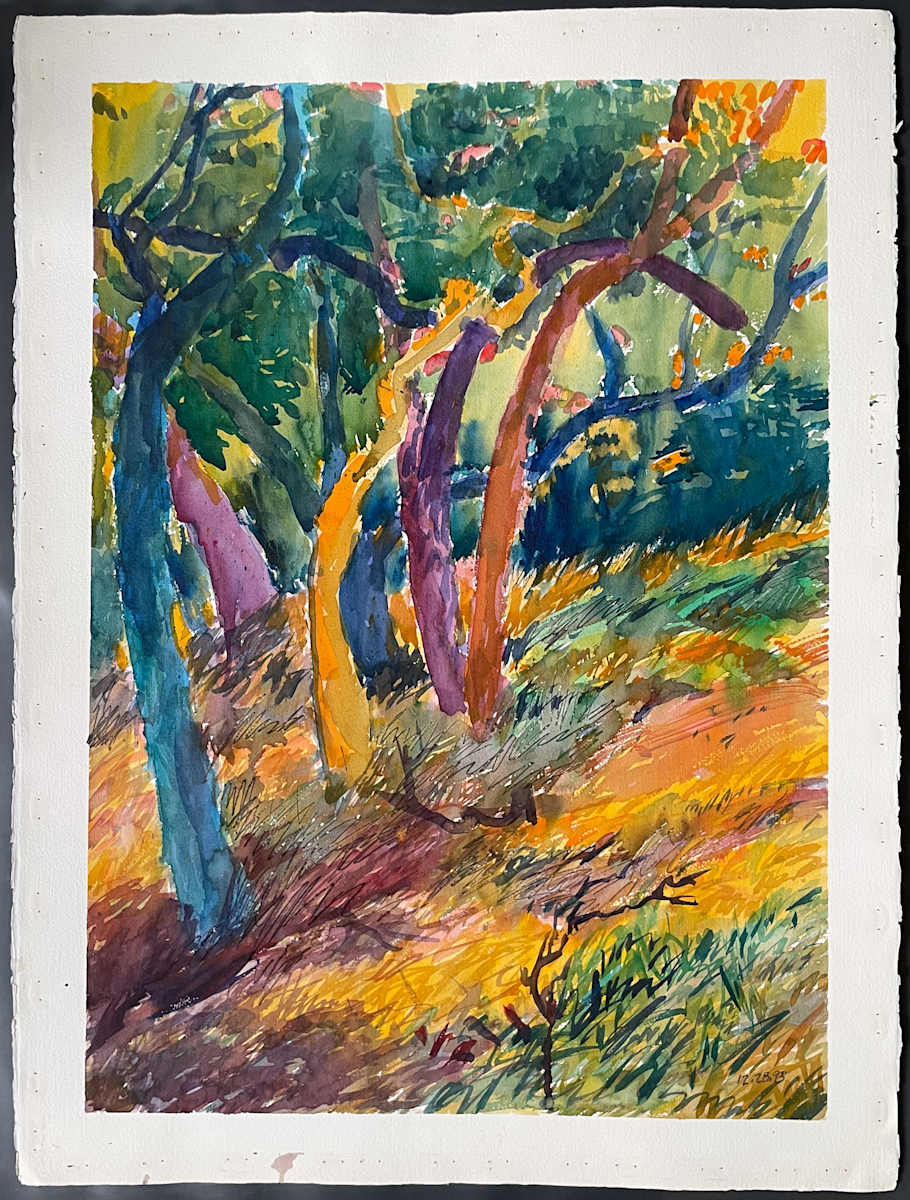 12.28.93 by The Estate of Don Blaisdell 