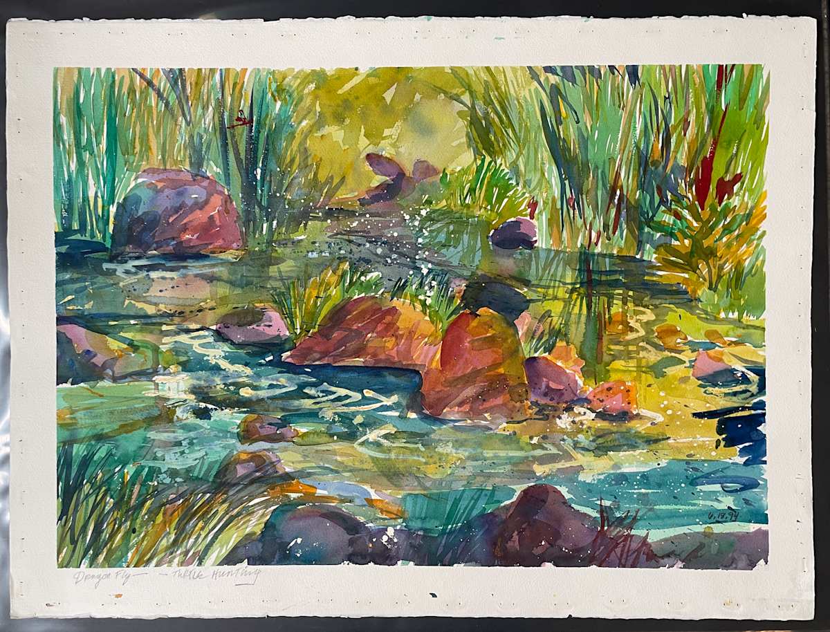 Dragonfly – Turtle Hunting by The Estate of Don Blaisdell 