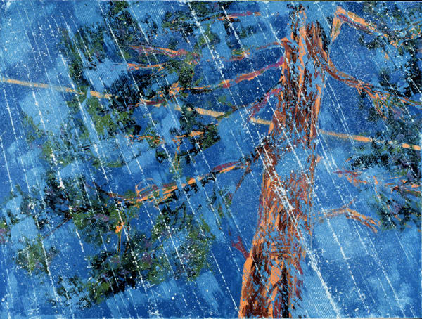 Acid Rain by Augustine Blaisdell 