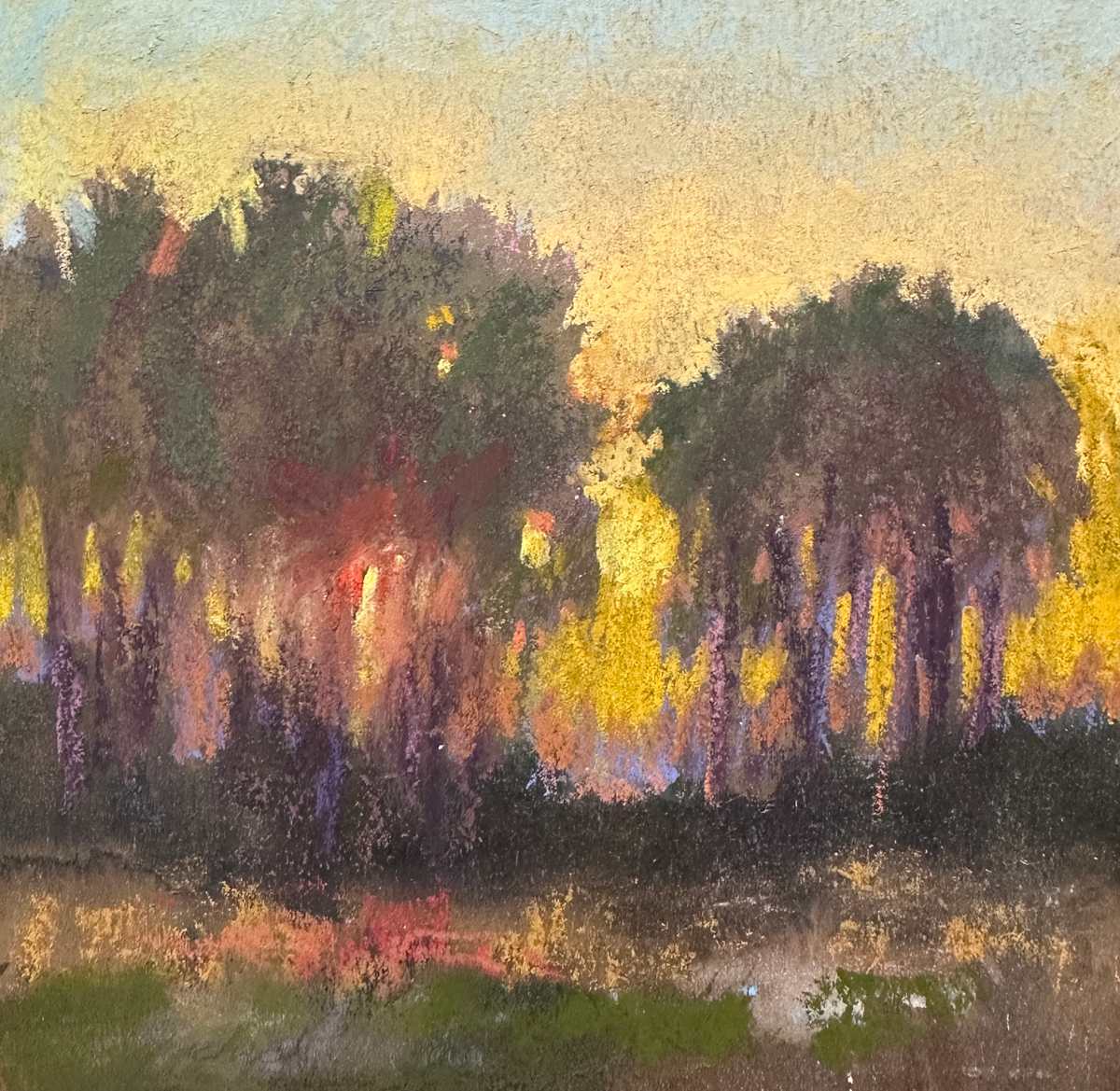 Sunlight Being Shy by Linda Richichi, Image 2.