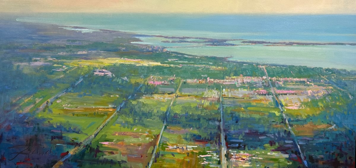 Sarasota From Above by Linda Richichi 