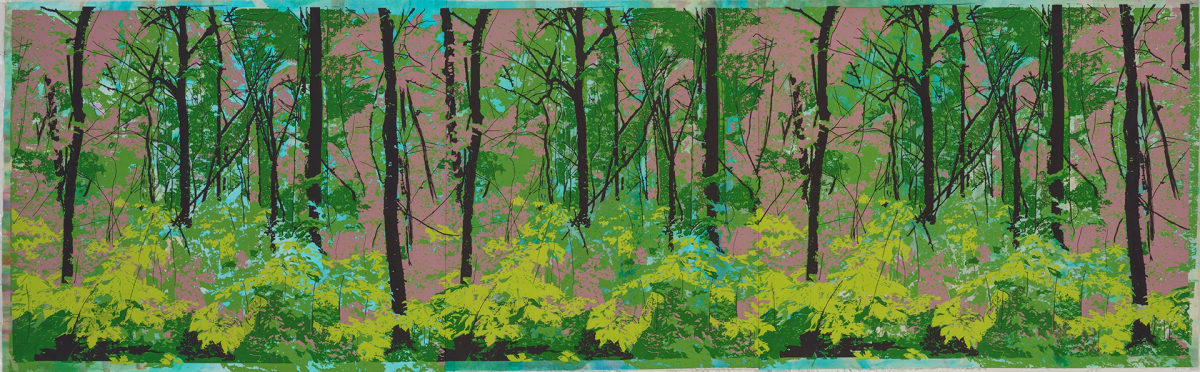 Forest Light by Emma Treadwell, Image 2.