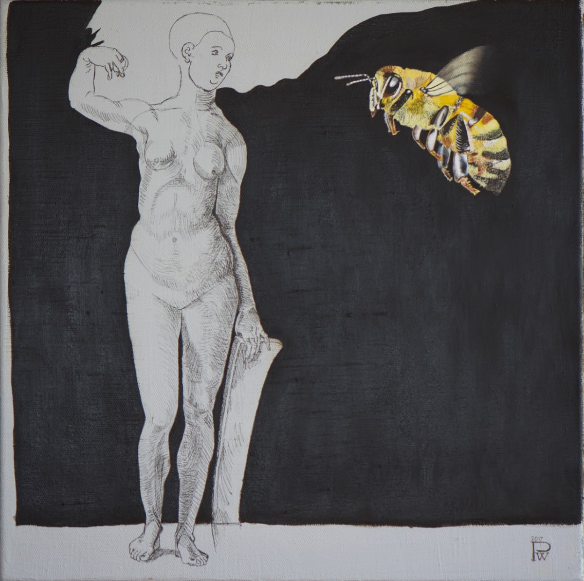 Woman and the bee / Femme et abeille by Philippe Walker  Image: Composition based on drawing by A Dürer