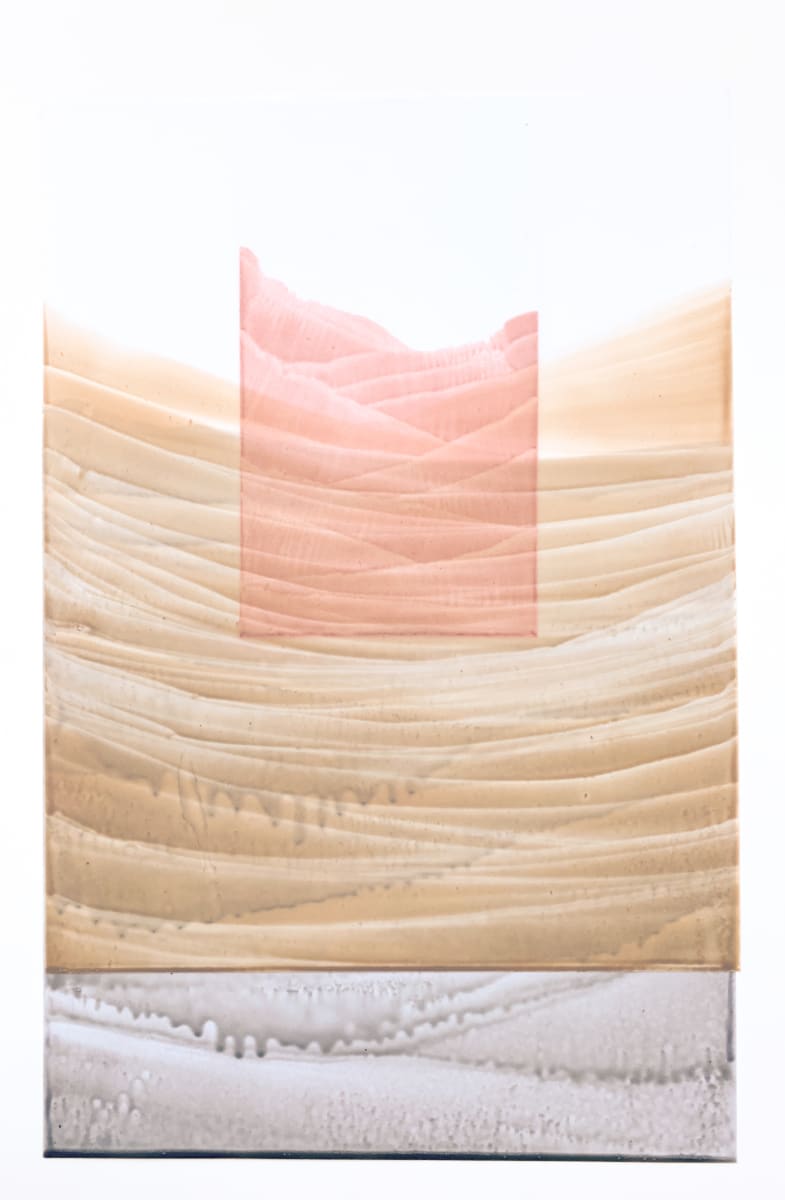 Canyon Specimen 131 by Emily Grace King 