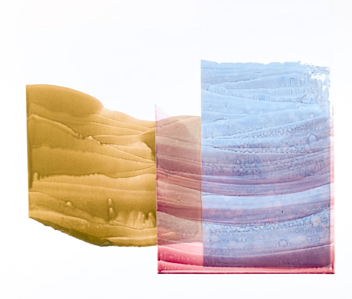 Canyon Specimen 128 by Emily Grace King 