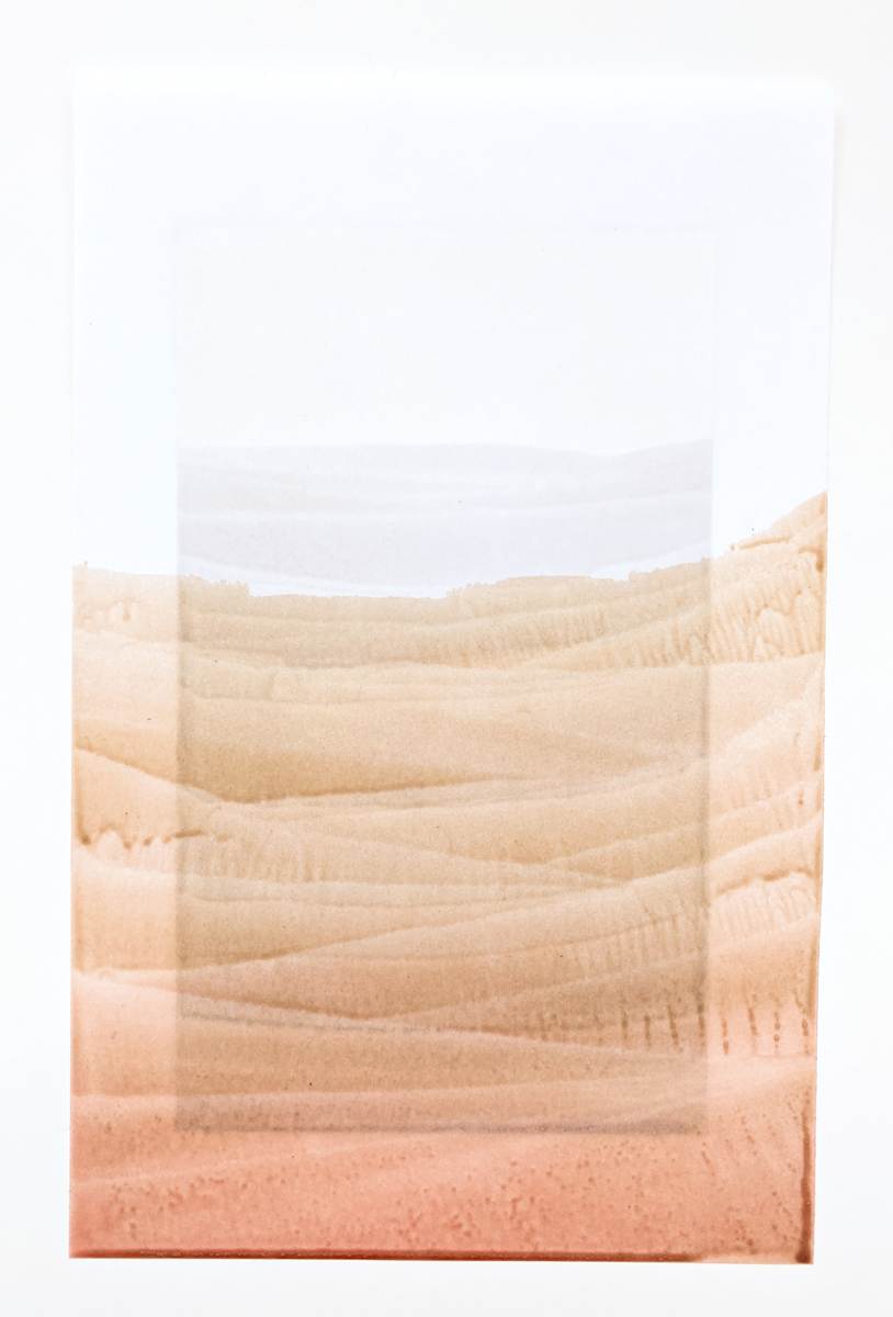 Canyon Specimen by Emily Grace King, Image 13.