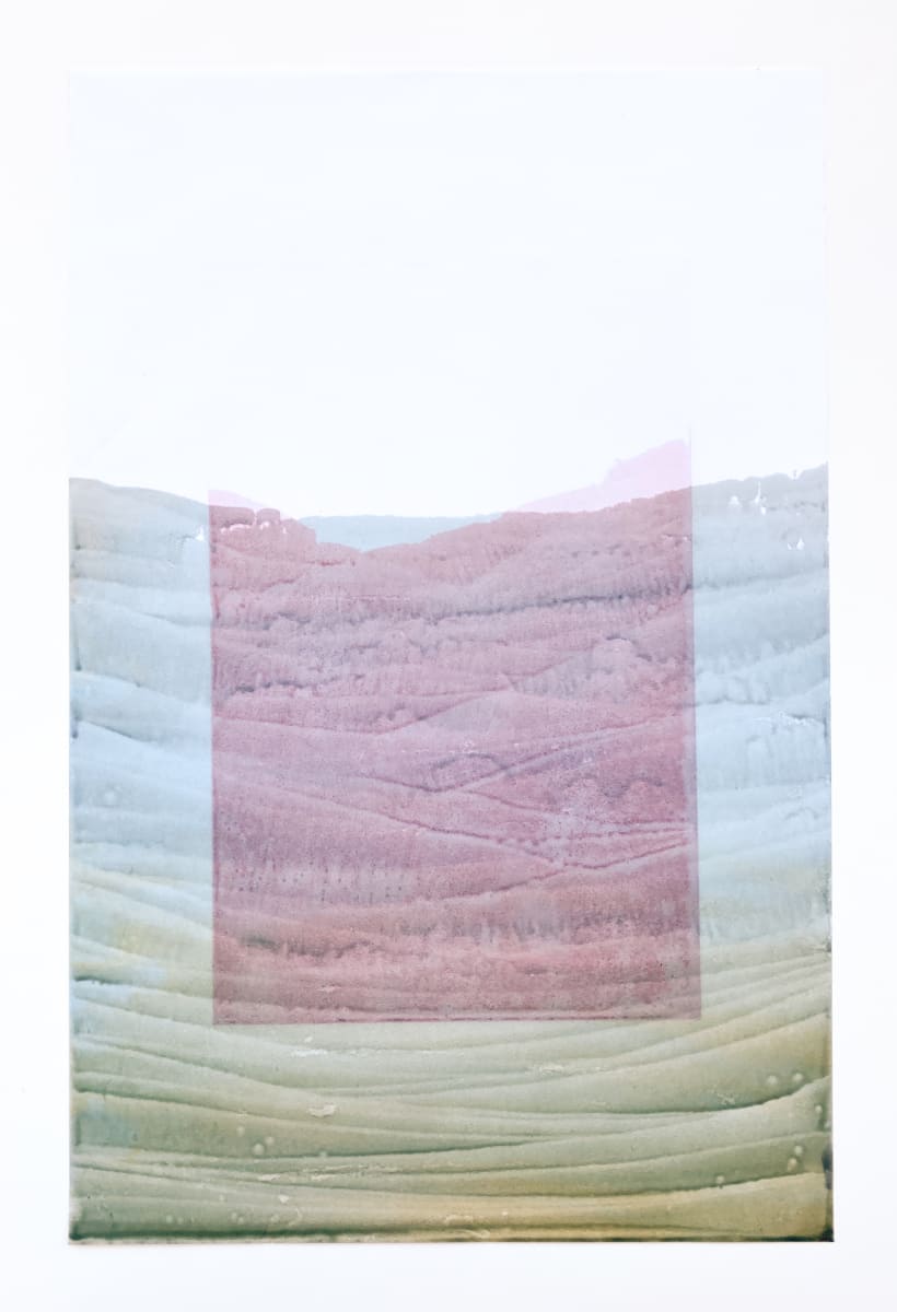 Canyon Specimen 44 by Emily Grace King 