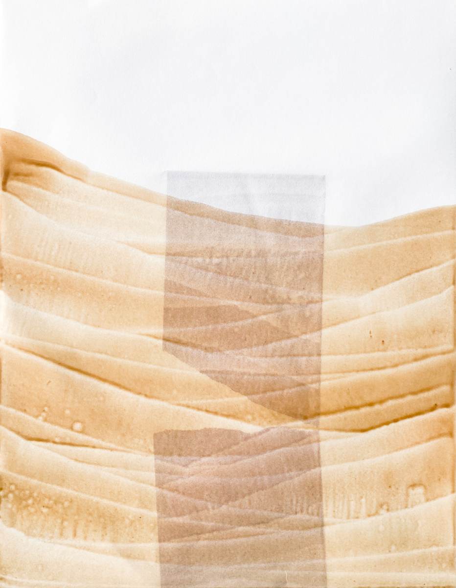 Canyon Specimen 140 by Emily Grace King, Image 18.