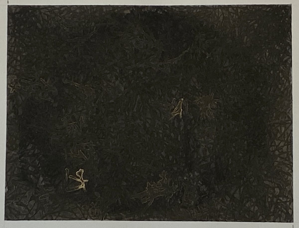 Vigorous Life (22-119) by Taesook Jung, Image 1.