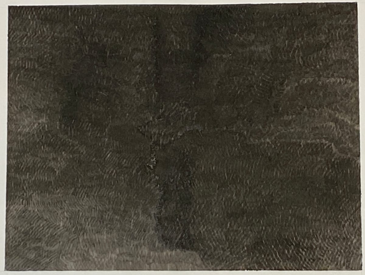 Vigorous Life (22-121) by Taesook Jung 