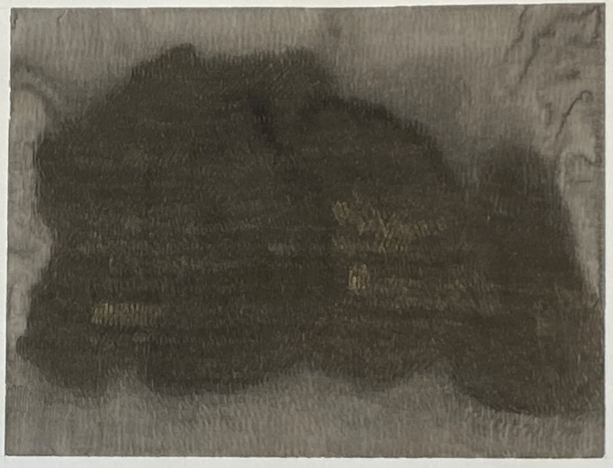 Vigorous Life (22-125) by Taesook Jung, Image 1.