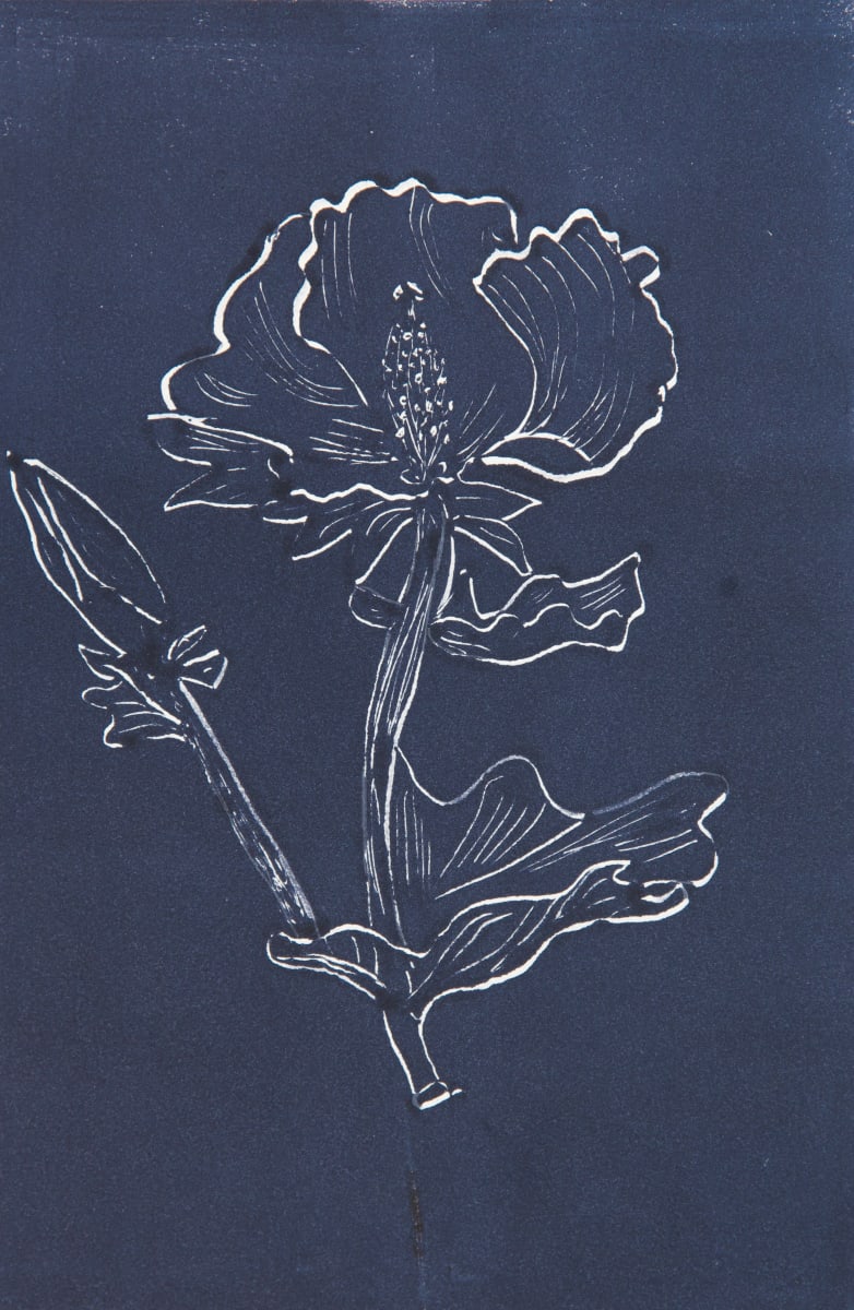 Poppy B&W Monotype by Margaret Johnson 