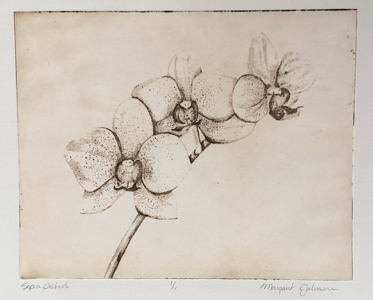 Sepia Orchid by Margaret Galvin Johnson, Image 1.