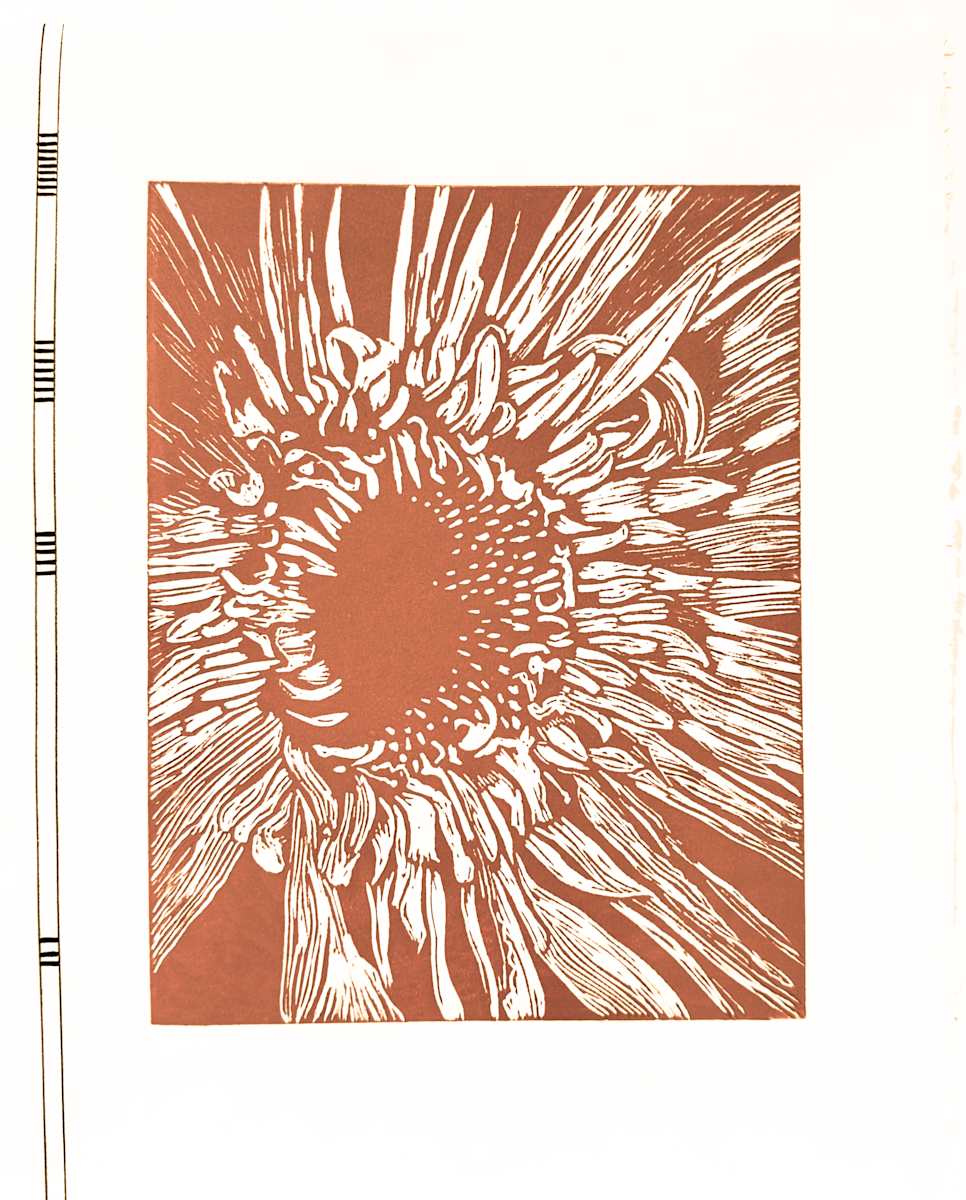 Grounding by Margaret Galvin Johnson 