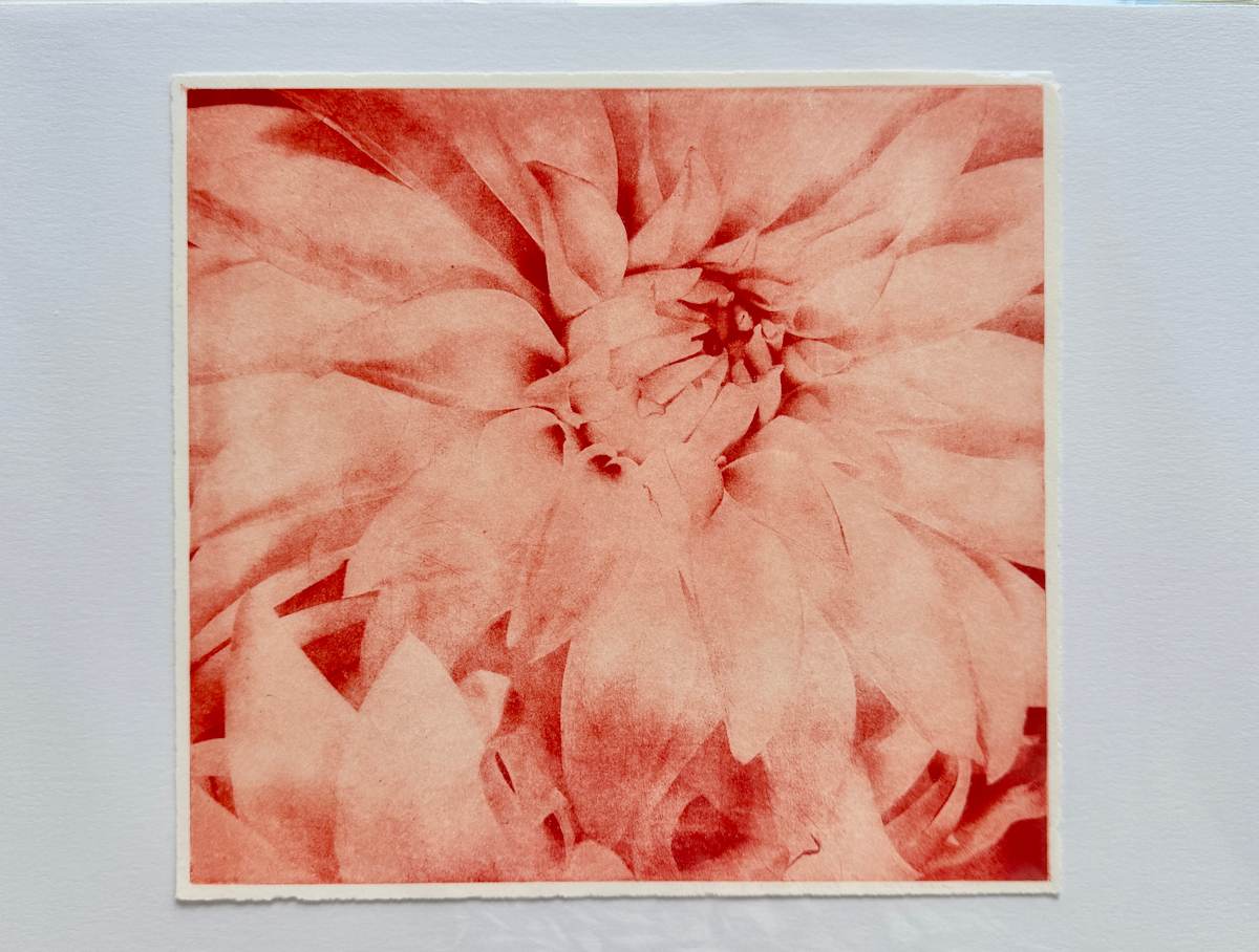 Cherry Mum by Margaret Galvin Johnson, Image 1.