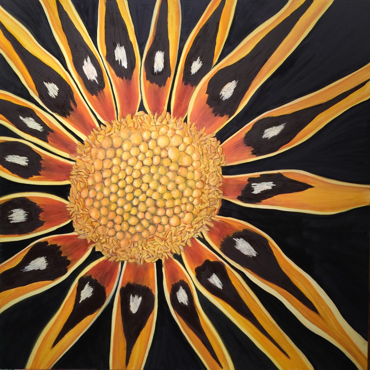 The Gazania by Margaret Galvin Johnson 