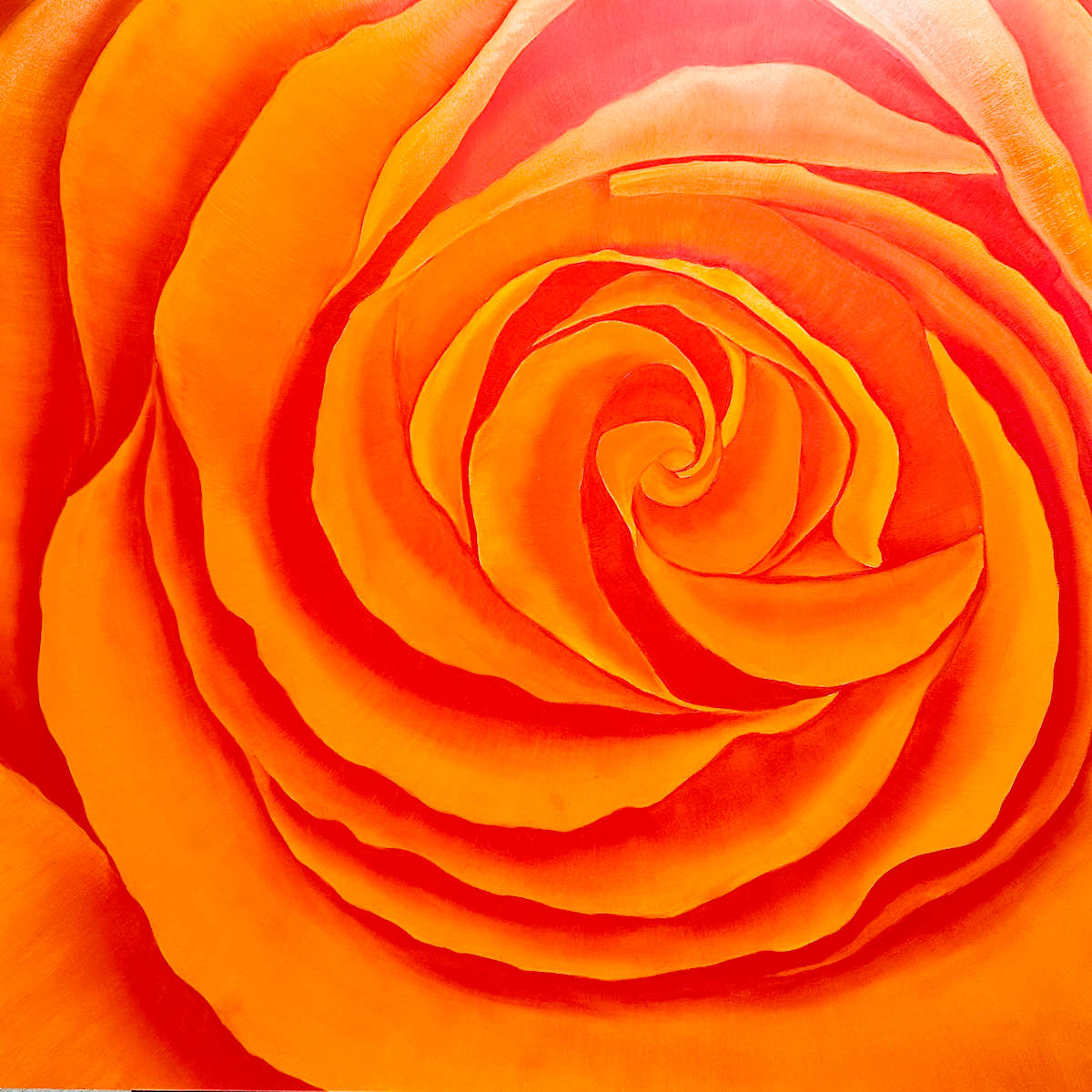 Orange Rose by Margaret Galvin Johnson, Image 1.