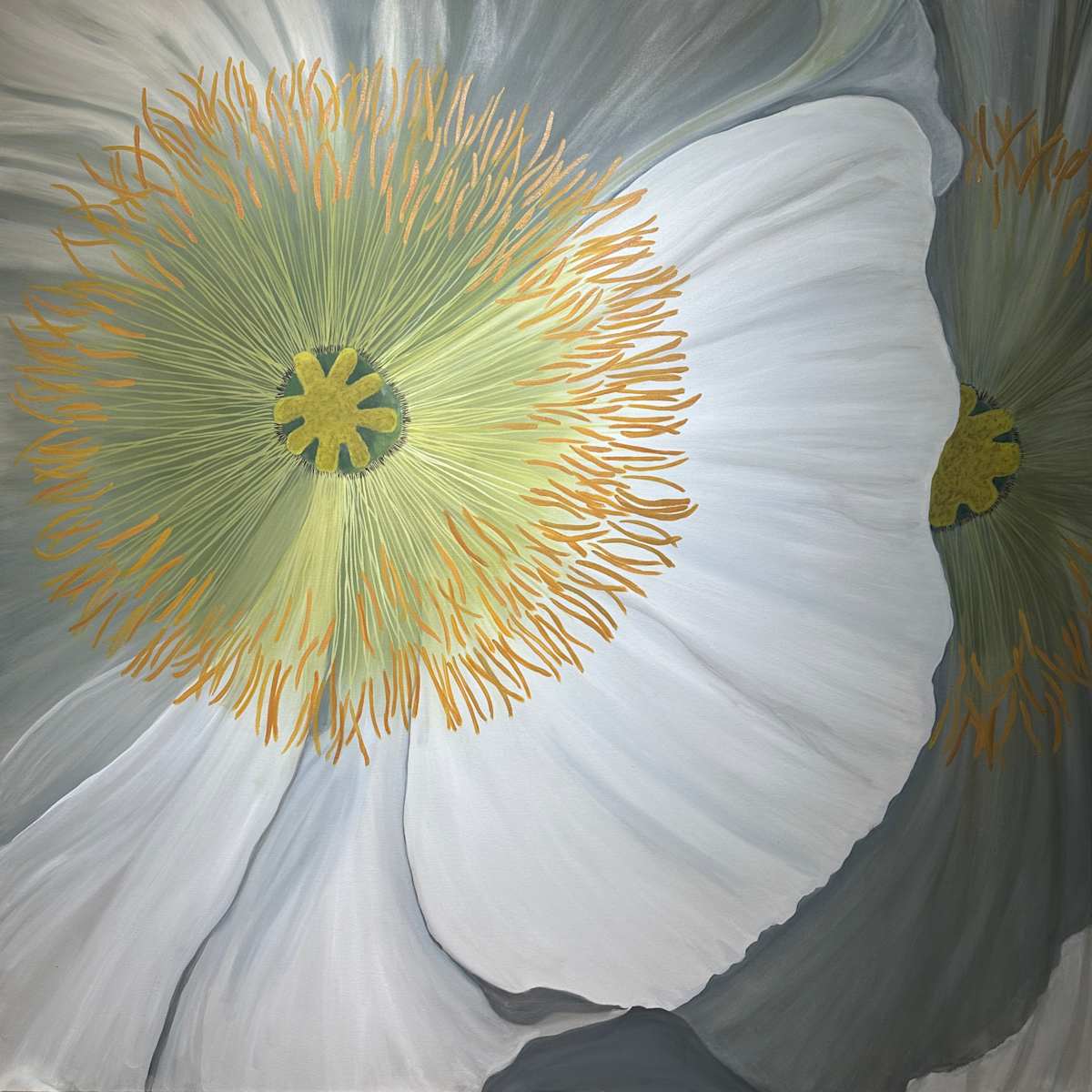 White Poppy by Margaret Galvin Johnson, Image 1.