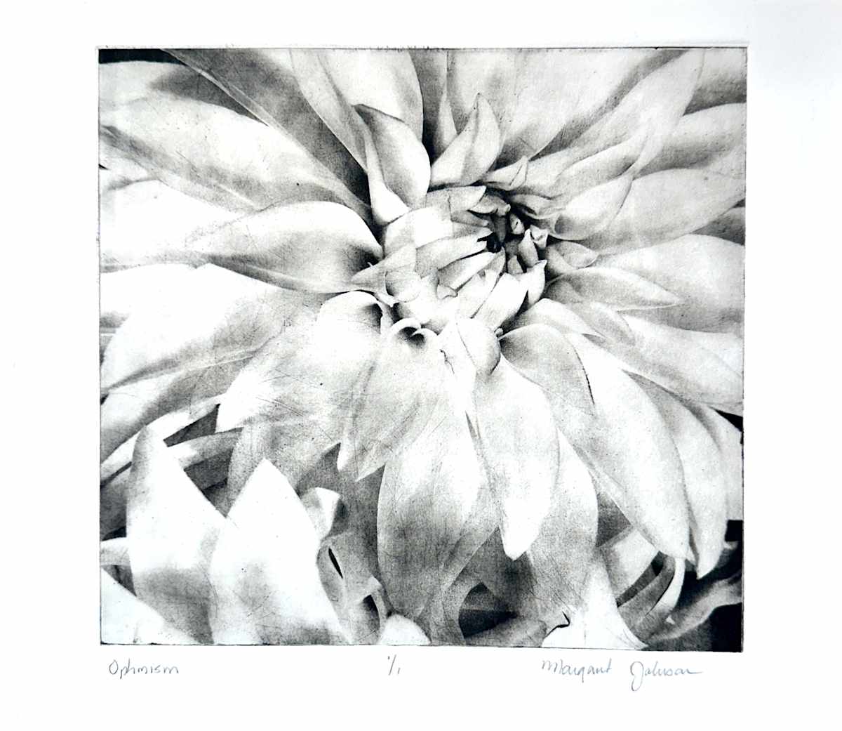 Optimism by Margaret Galvin Johnson 