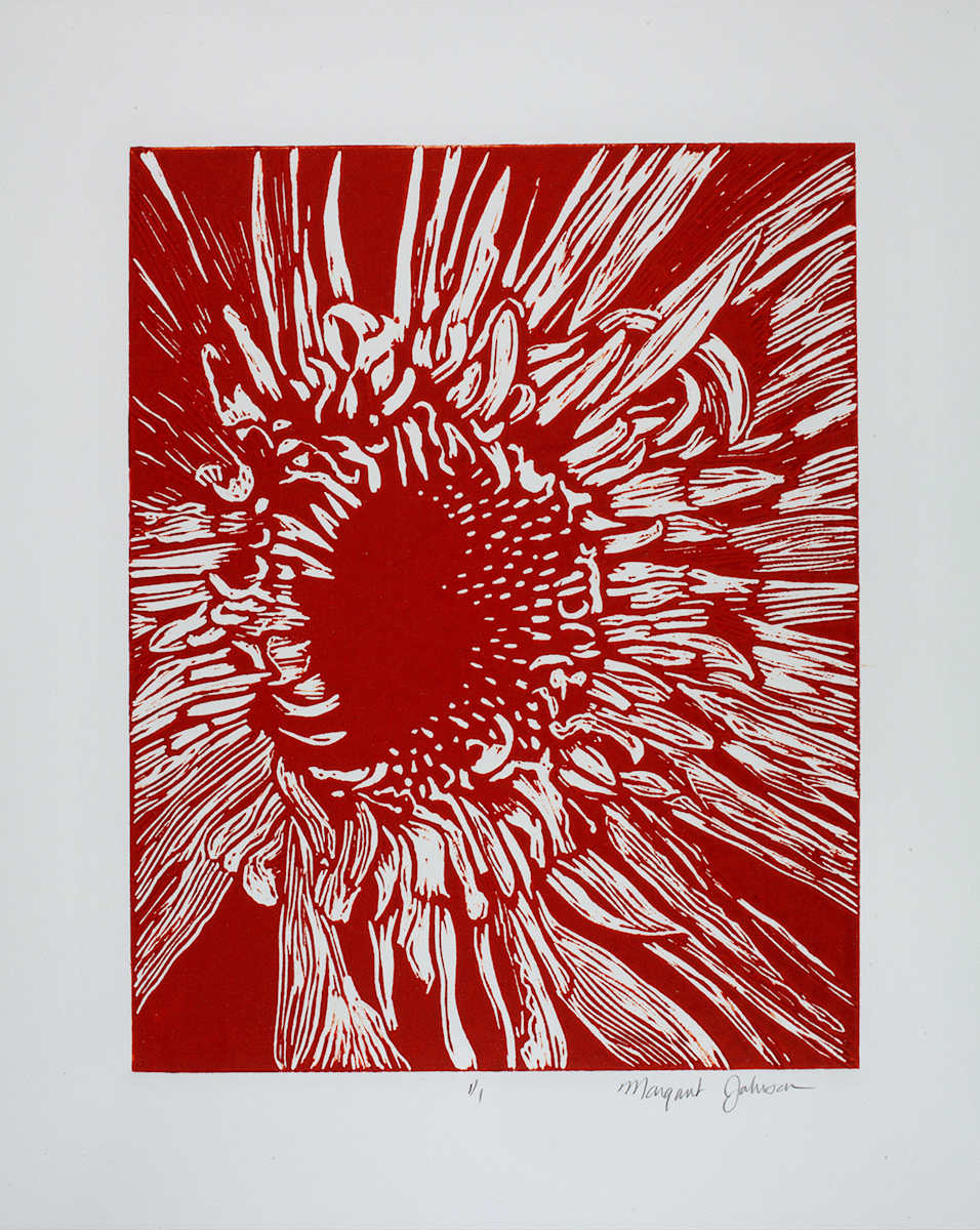 Cherry Chrysanthemum by Margaret Galvin Johnson 